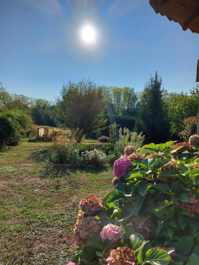 Le Moulin De L'Etang 호텔 Chaneins 외부 사진